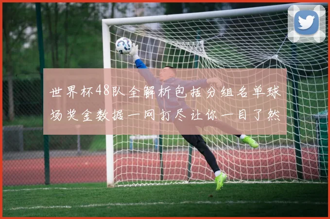 世界杯48队全解析包括分组名单球场奖金数据一网打尽让你一目了然