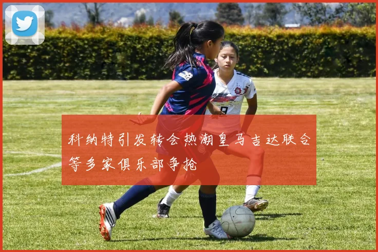 科纳特引发转会热潮皇马吉达联合等多家俱乐部争抢