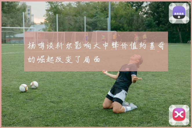 杨鸣谈科尔影响大中锋价值约基奇的崛起改变了局面